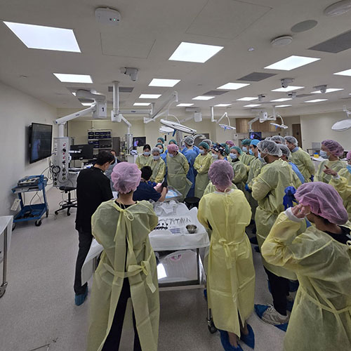 Ultrasound & Cadaveric Workshop