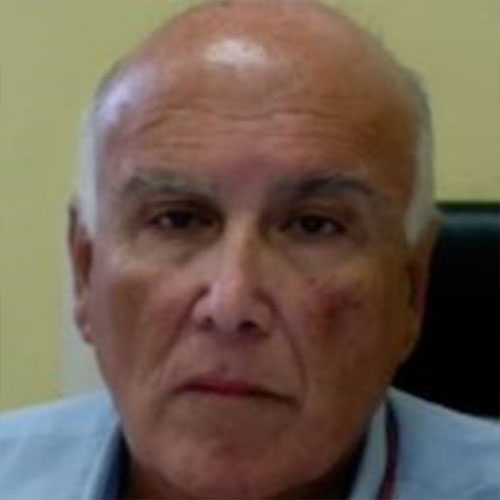 Prof. Andrea Mingoli